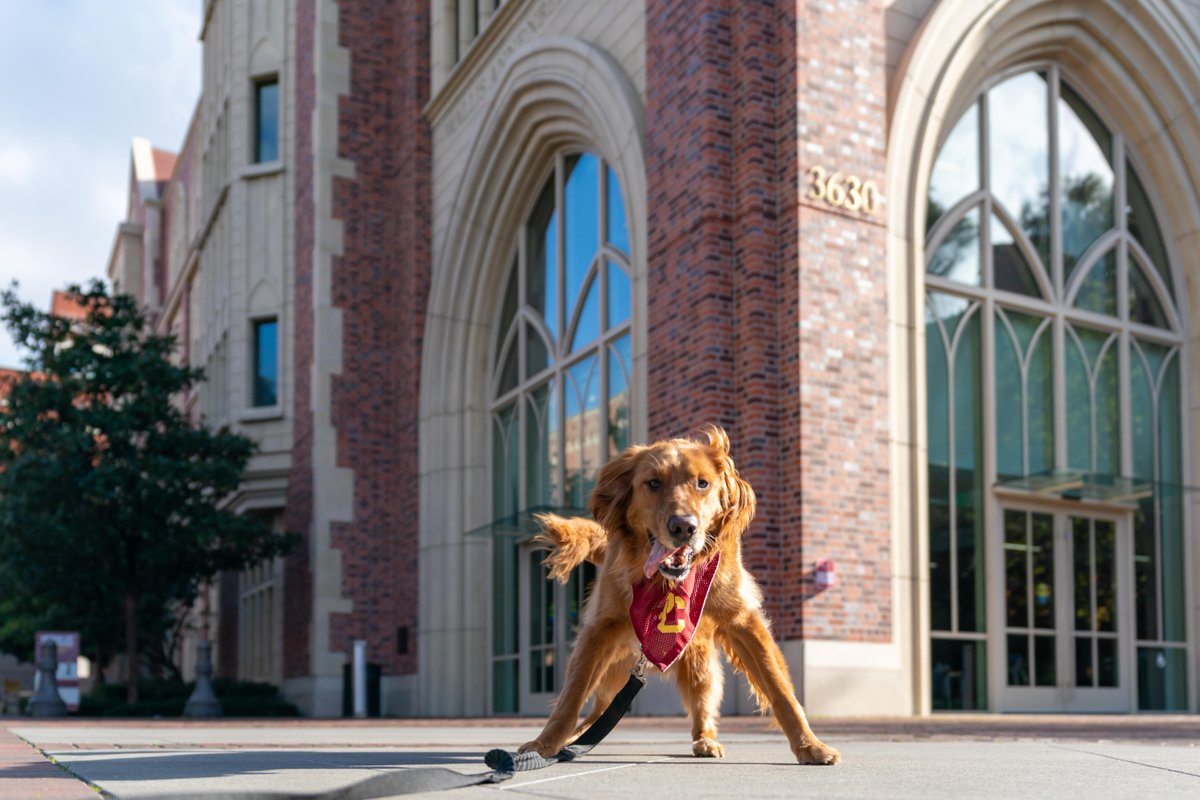 USC's tweet photo. Shaking off 2023 and charging into 2024.  Happy New Year Trojans! 🐶 ✌️ ❤️ https://t.co/rSsrDtcRf4