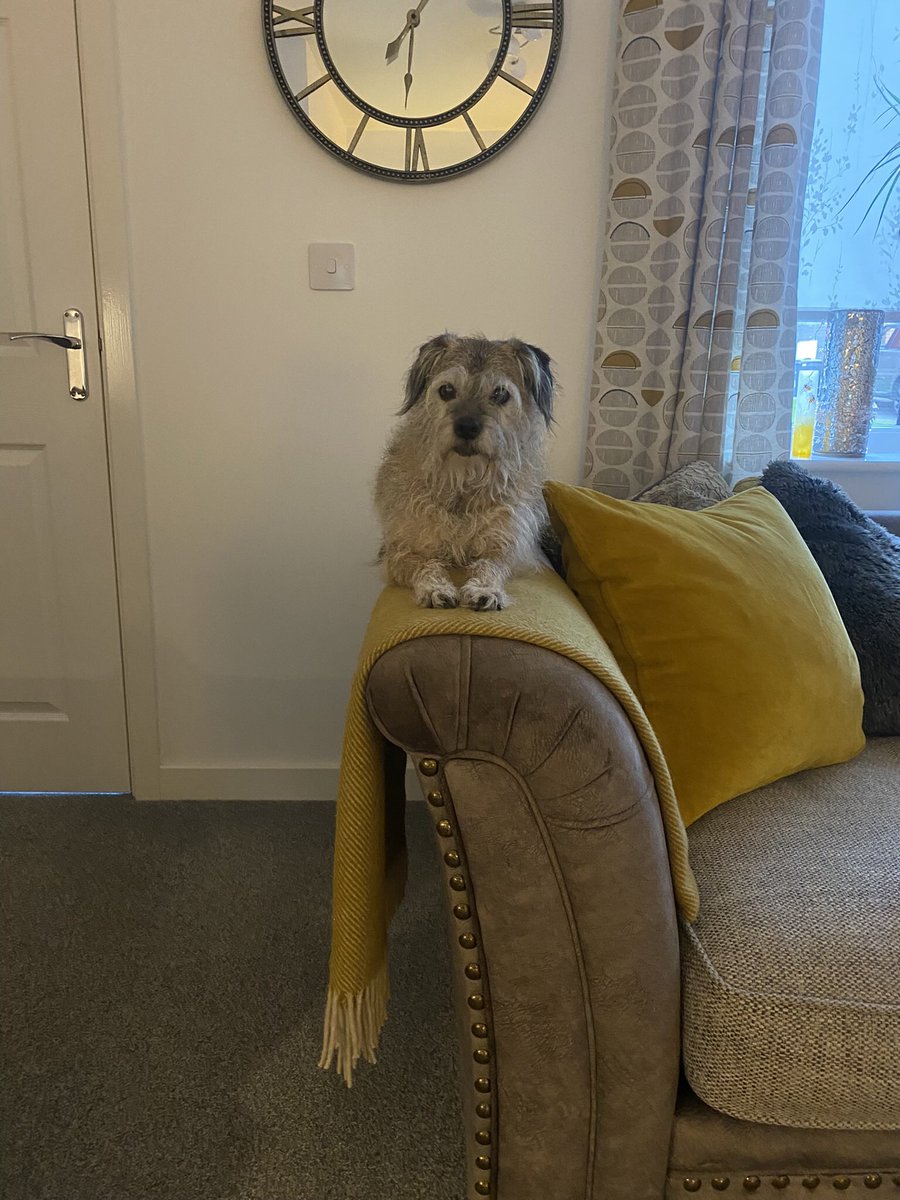 ElsaBessBorders's tweet image. Just dashing in too pals #BTPNYH