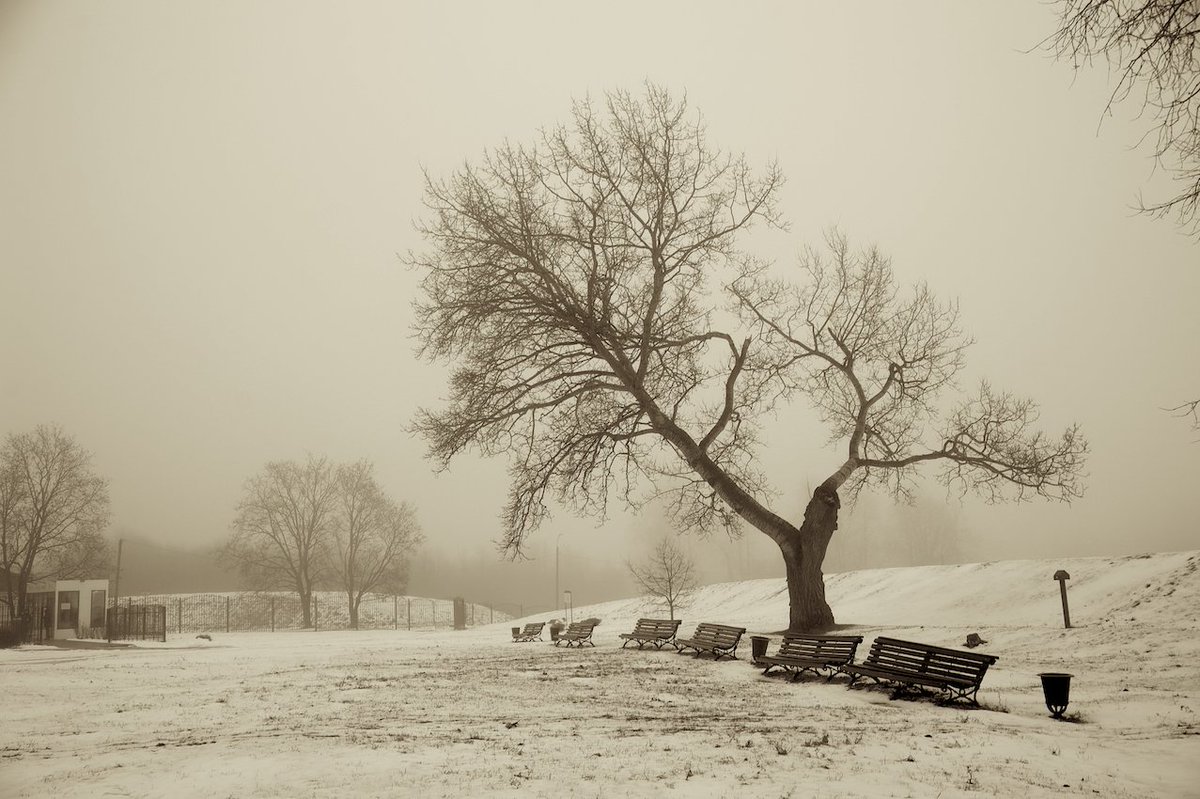 Happy New year!!! 🌠🎉☃️

#NFTs #NFTCommunity