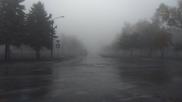 elemmiressoul's tweet photo. foggy weather. https://t.co/d5ZbuwvhgM