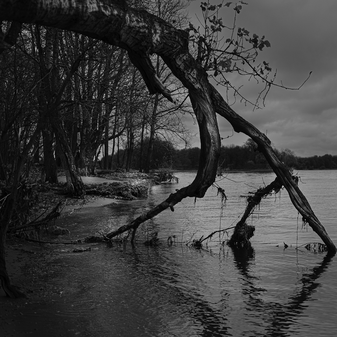 vetroff's tweet photo. Питер
#sonycamera #sonylens #bwlandscape https://t.co/wkkKT52NfG