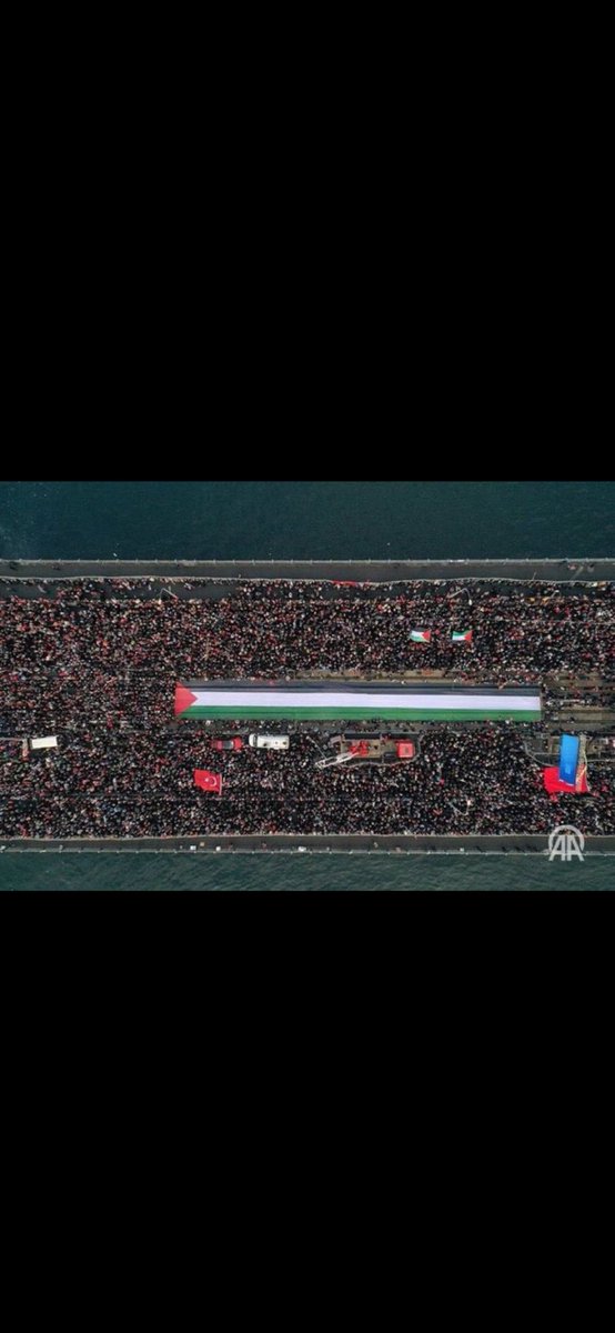 AvFSavas's tweet photo. 🇹🇷 🇵🇸
Kalpleri  #Gazze’de atan insan seli, #GalataKöprüsü’nden dünyaya haykırdı: "Özgür Filistin” 
#ForFairFuture https://t.co/JyEhjYFgPD