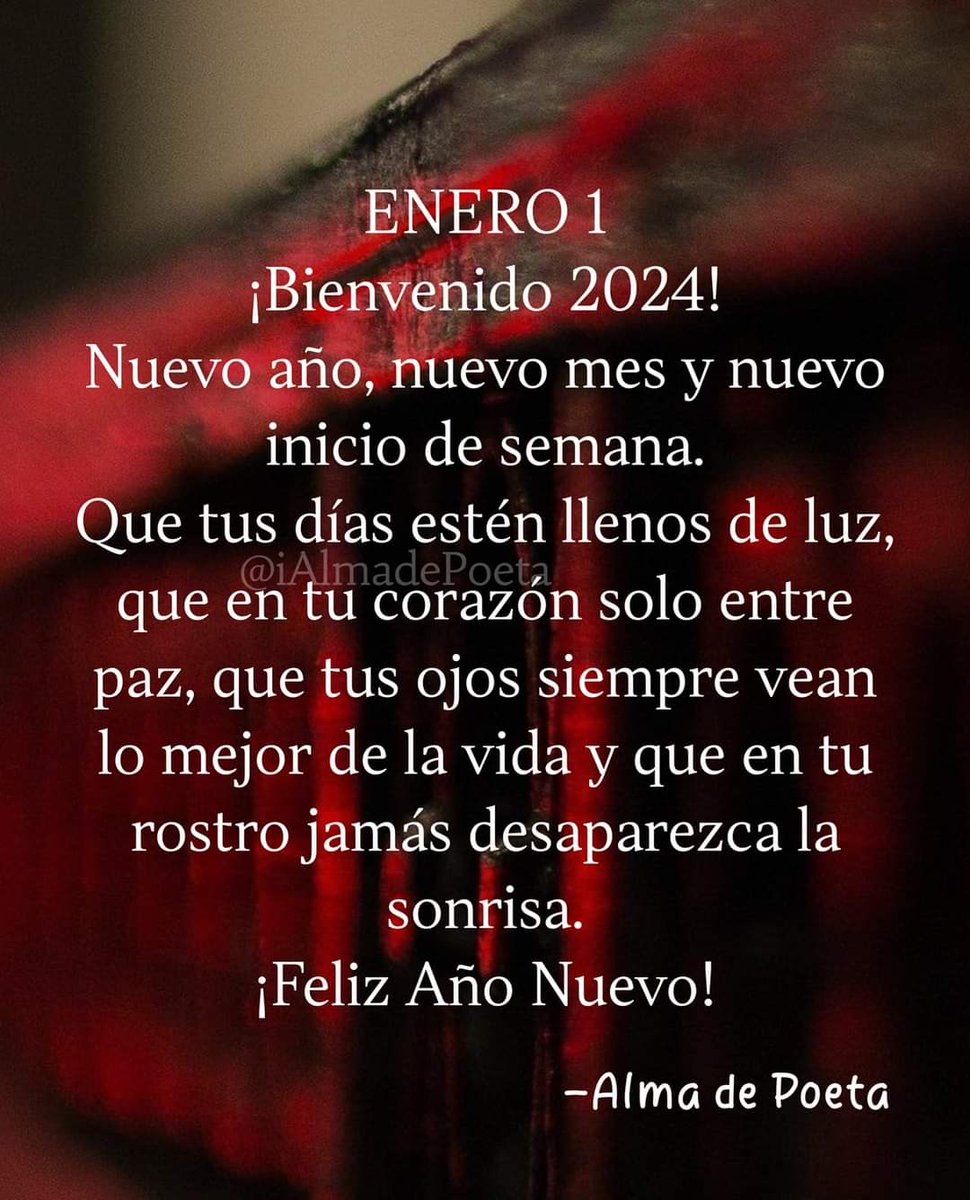 Feliz tarde 🌻