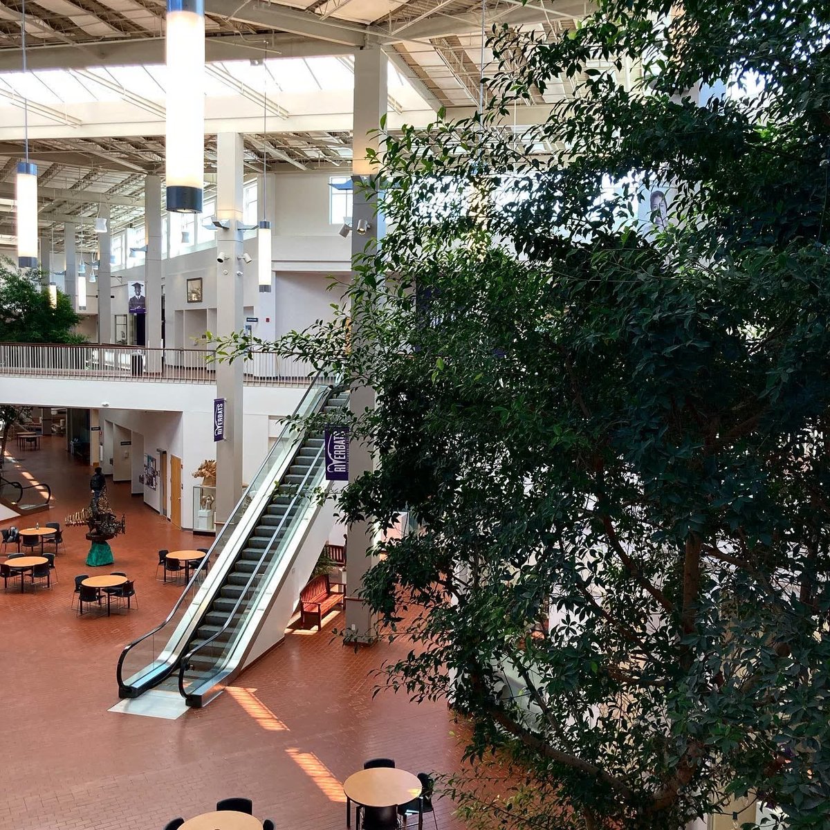 CodyDillonStone's tweet photo. @micsolana Austin converted one to a community college campus and it’s pretty damn cool https://t.co/7dagr67VMh