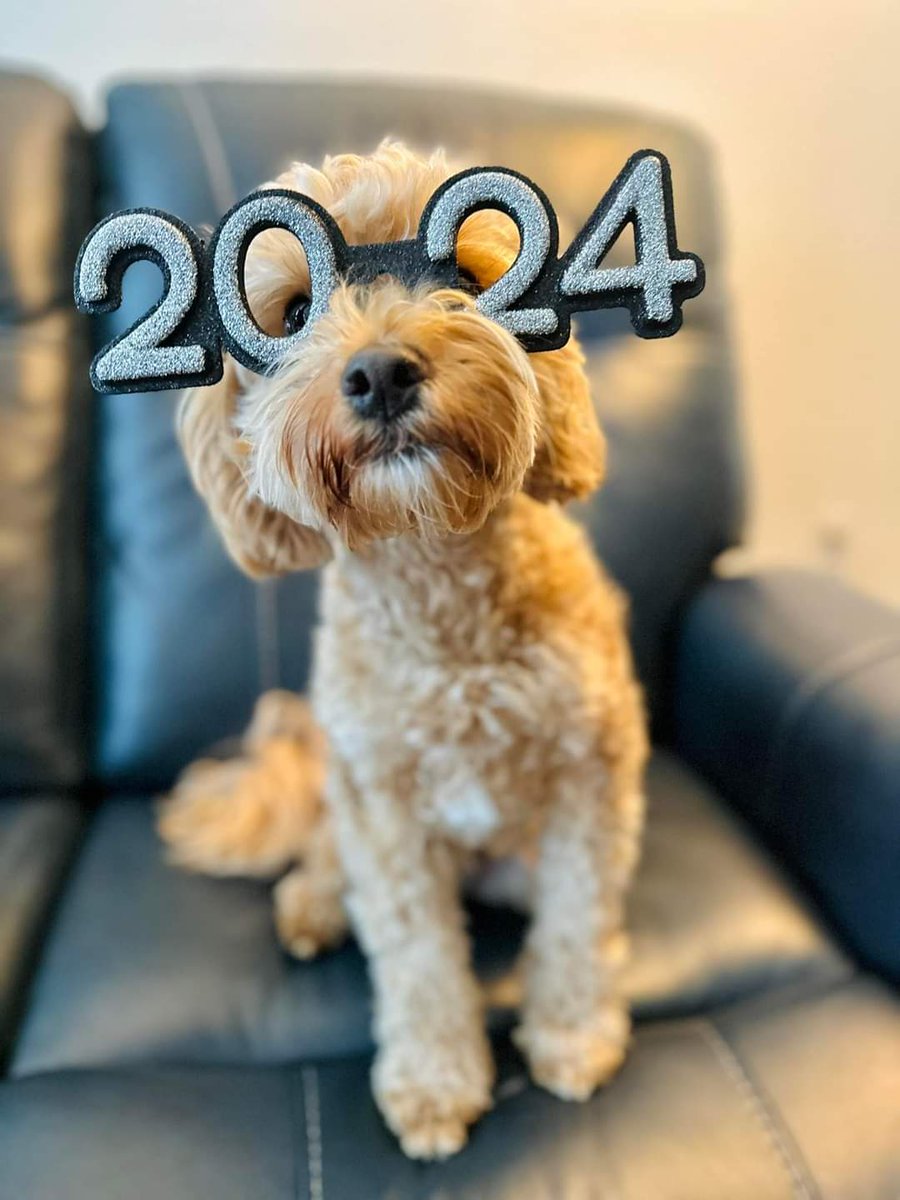 Happy New Year!  <a href="/HarvestTexas/">Harvest by Hillwood</a>