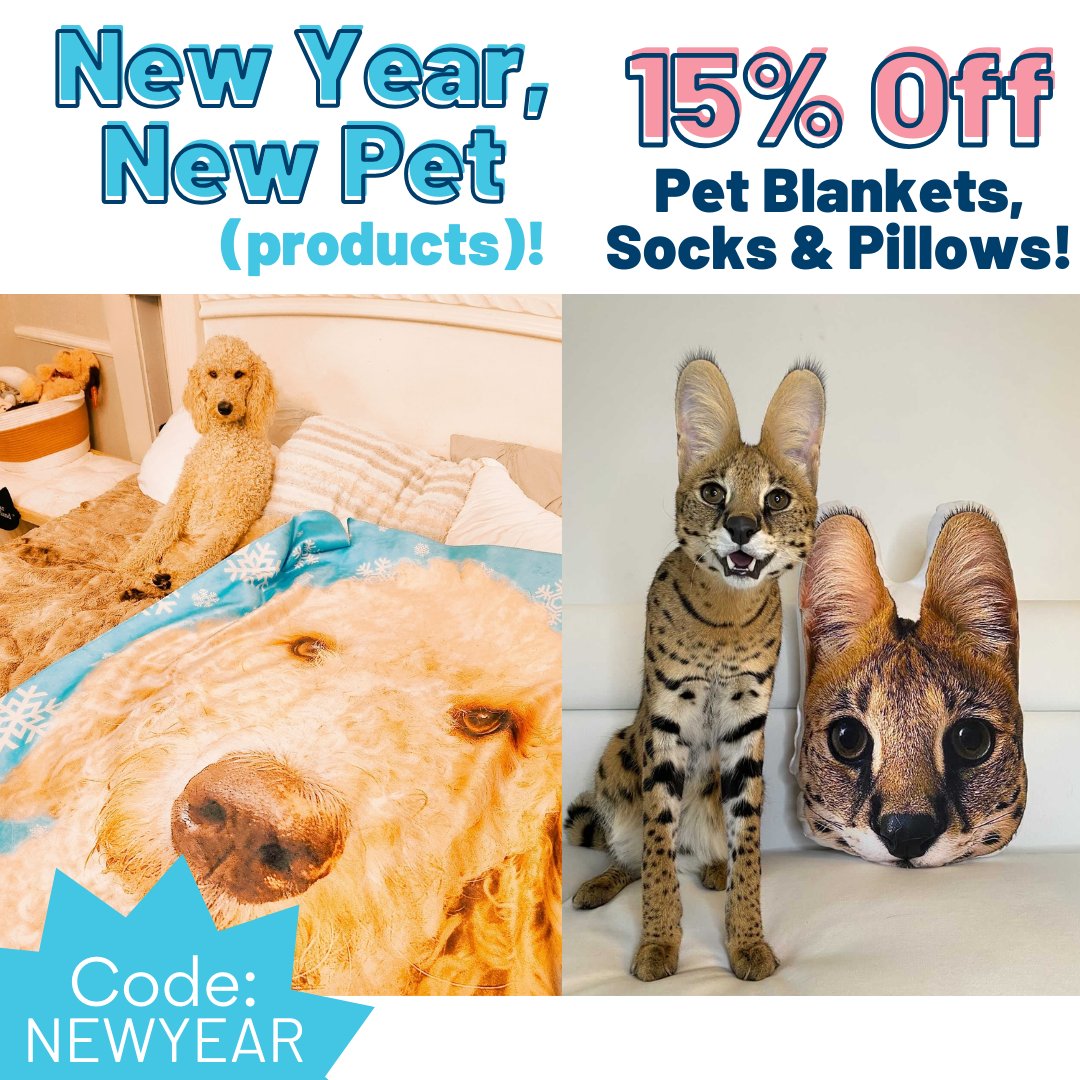 Petsies PetsiesOfficial Twitter Profile Sotwe