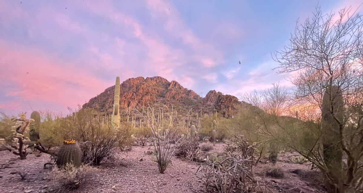 Grania64156311's tweet photo. My New Year 2024 Dawn 
#HappyNewYear2024 #DesertDawn #SonoranSunrise #RedButteTucson #StayTucson #STR #AirBnB #AirBnBSuperHost #ThunderbirdSuite #QuailCrossingCasita #BirdsNestGlamper #TheAviary #ComeVisit https://t.co/GdlAtAHKgg