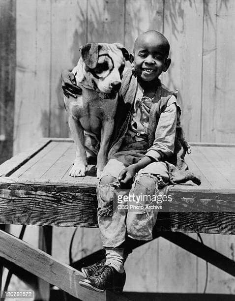 barbaravitali2's tweet photo. Remembering #MatthewBeard January 1,1925_January 8,1981 (Age 56) #Stymie #StymieBeard https://t.co/U28hgkwLM9
