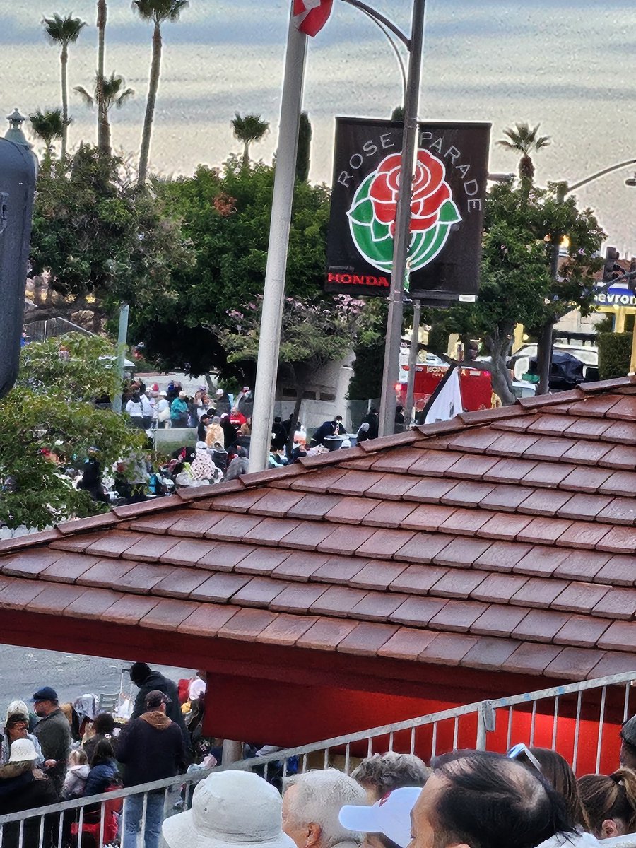 JenCaclsRN's tweet photo. Parade of Roses🌹 https://t.co/aQ0zBZ1CZ8