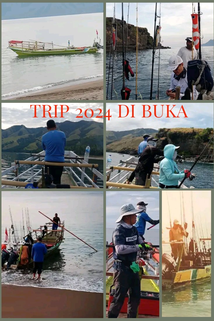 Trips for 2024 are now OPEN.
Don't hesitate and don't miss the opportunity to enjoy the thrill of our marine predators.

Contact:
WhatsApp: +6281237144066 (Mikhael)