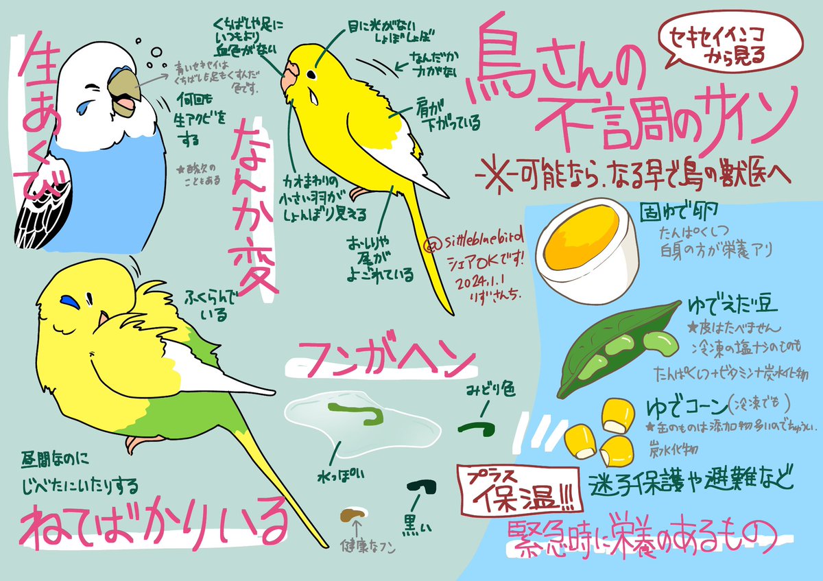 【鳥さんと避難】 画像のみのシェアもOKです🙆♀️ 緊急時もしものことがないように、 鳥さんの不調の代表的なサインと 餌の代用例を書き出しました。 少しでも助けになれば幸いです。