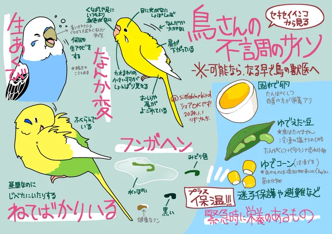 【鳥さんと避難】  画像のみのシェアもOKです🙆‍♀️  緊急時もしものことがないように、 鳥さんの不調の代表的なサインと 餌の代用例を書き出しました。  少しでも助けになれば幸いです。