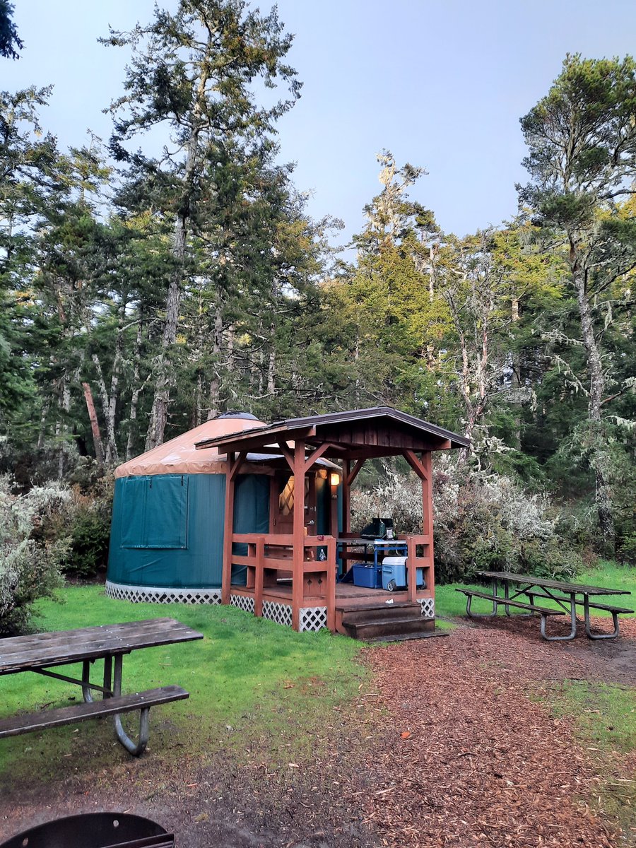 MagpieJoyful's tweet photo. March we played D&amp;D in a yurt at Bullard's Beach.

I spent most of the month hunting down furniture in a whirl of nesting fueled by pregnancy hormones and paint fumes.

There were baby goats. 

We captured the cat that was living under the house (and fighting with our cats). https://t.co/ebK3L1ZnWS