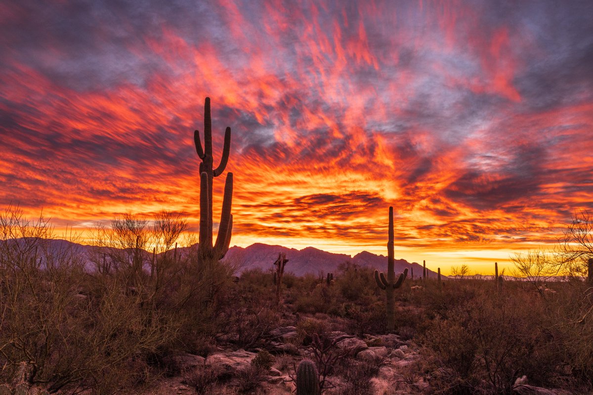fire_starter457's tweet photo. A colorful start to 2024 over #Tucson #Arizona and all parts east and south. #sunrise #sunrisephotography @sheasorensonwx @MallorySchnell @WaldrefWeather @whatsuptucson https://t.co/MI7FuFys34