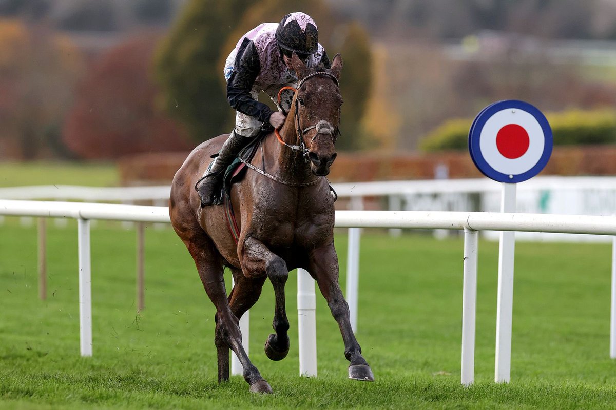 NavanRacecourse's tweet image. Great to see 🖤Bob Olinger 🖤 follow up his win in the @RailwayBarNavan Lismullen Hurdle at Navan Racing Festival and taking the @TheDornanGroup Relkeel Hurdle @cheltenham today 👏🏻

Congratulations to all connections🏆#bobsback