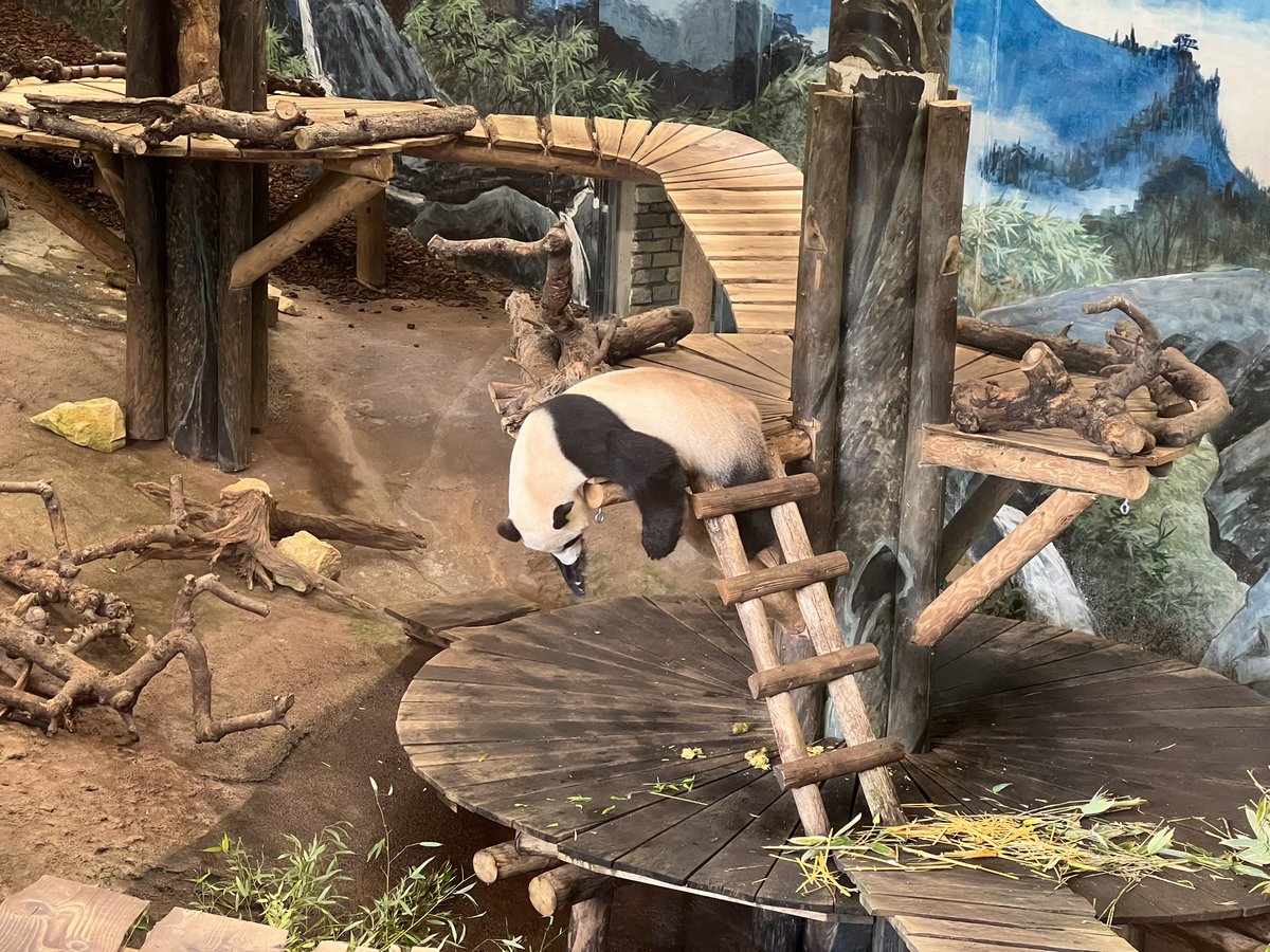 Christopher tweet media