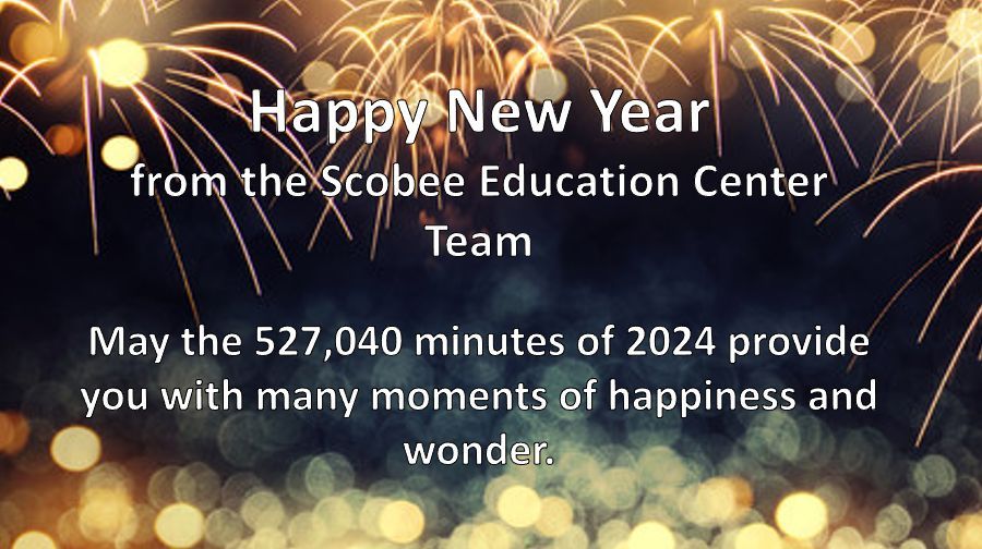 sacscobee tweet media
