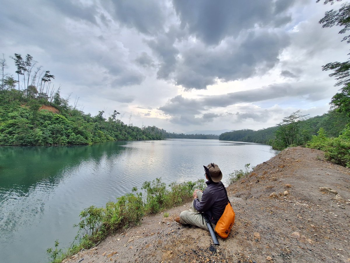 Hebiuz's tweet photo. The first day of 2024 and the First field of 2024
#easternmeratus #lowland #hillforets #moraceae #artocarpus #rigidus #prainea #limpato #kalimantan https://t.co/5ywLGnqtH3