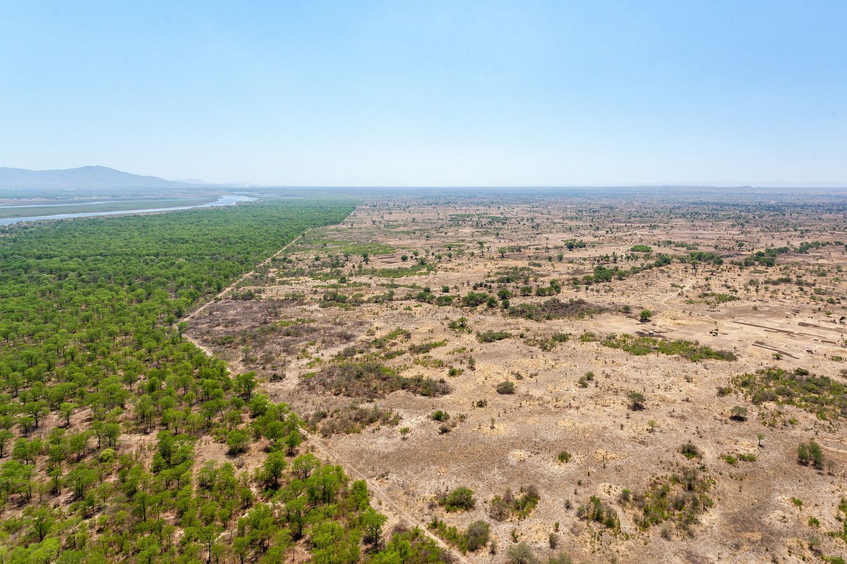 AfricanParks's tweet image. It’s a new year, and our vision remains!
Through strong partnerships and positive collaboration, we can contribute to the global mission of protecting 30% of the planet’s natural areas by 2030. Be part of this vision and support us. Donate today:bit.ly/3PJcsTU