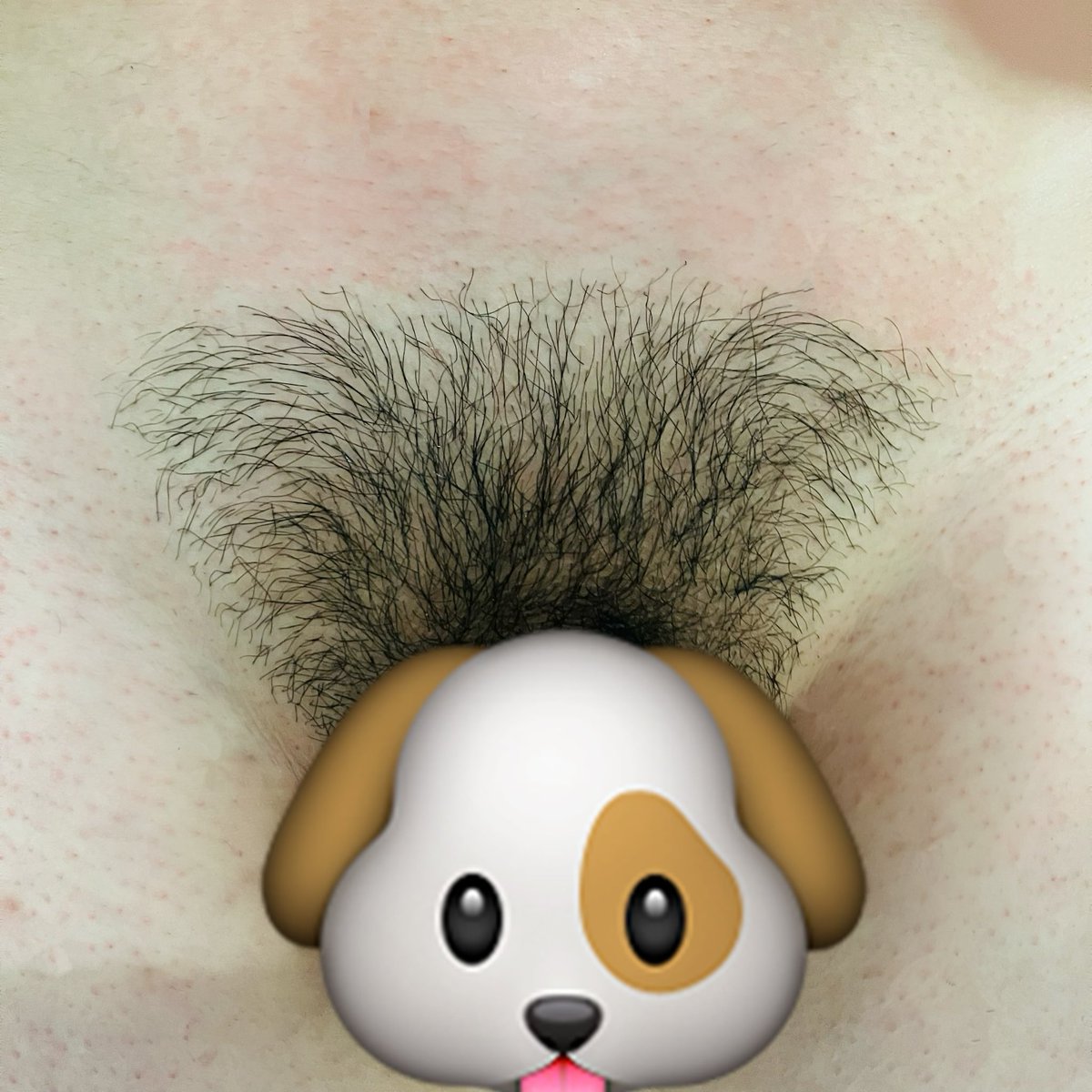 BENSHOT2023's tweet photo. 新的一年也幫自己整理一下🥴 https://t.co/KmzEWYaeeX
