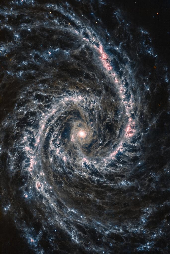 The amazing view of dusty spiral galaxy (NGC1566) from JWST's MIRI.
