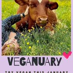 Photo by Rosie’s Farm Sanctuary (@RosiesFS)