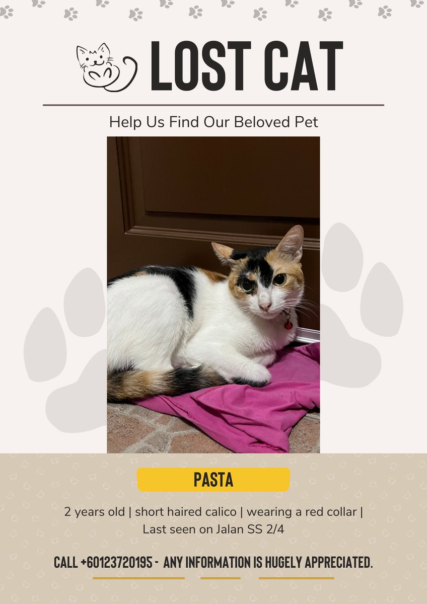 magdalenelim's tweet photo. People in PJ / SS2 - :(  My cat is missing, she’s a fully indoor cat so idk how she’ll cope outside 😭 if you see her/have her please get in touch with me https://t.co/8c4vdHLnvG
