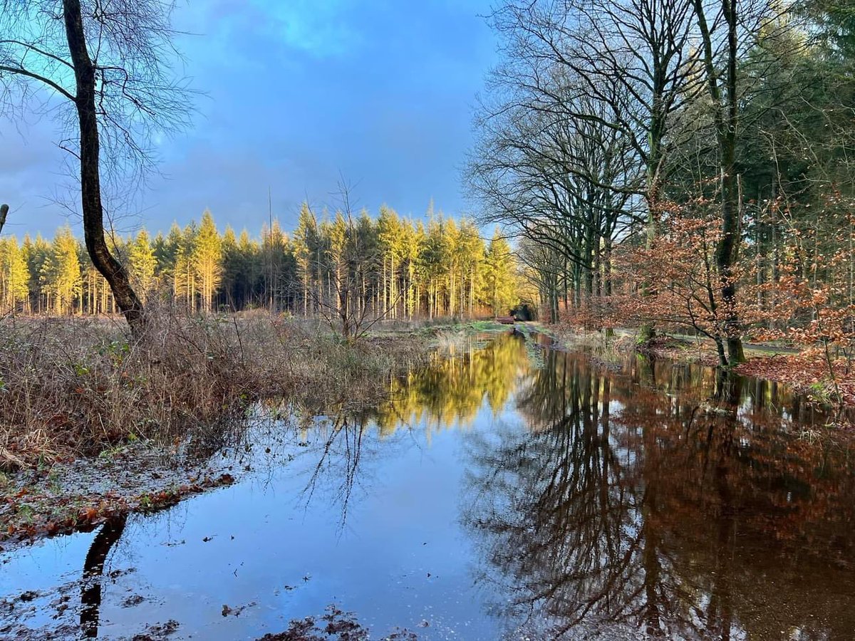 Rob de Waard tweet media