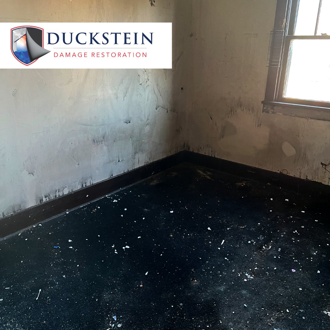 Trust us to bring your space back to life after the devastating impact of fire. Our skilled team specializes in comprehensive restoration services, ensuring a meticulous and efficient recovery process. 💙 #firedamage #homeinsurance #firerestoration #firecleanup #fire #housefire