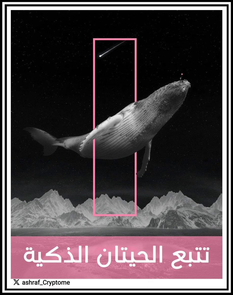 الناس الي راح يحققون ارباح كبيرة الان 🧠
هم من يتبعون محافظ الحيتان الذكية 🐋

اليك استراتيجية راح تحققلك 10-50X
من خلال الكشف عن المحافظ الذكية 

🧵🕵️ .. فضل الثريد مهم جداً