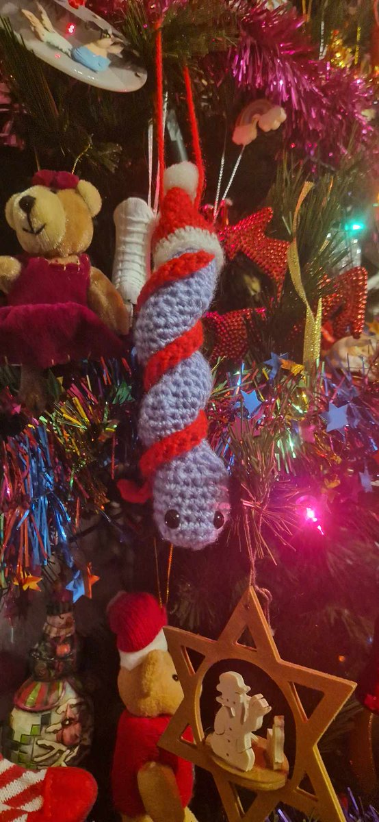 Happy New Year 2024!
Crocheted Christmas Bacteria #sciart