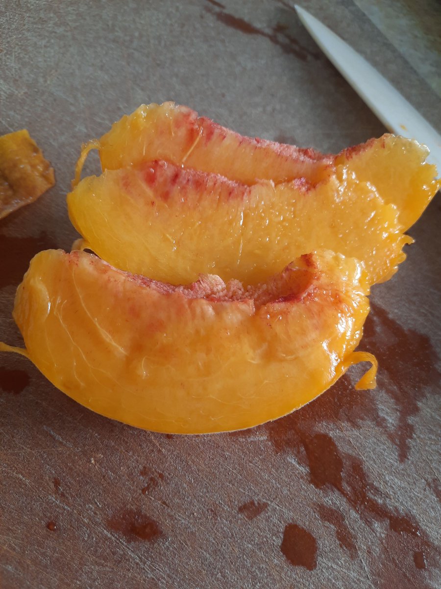 MagpieJoyful's tweet photo. August was a bubble of the three of us figuring this whole thing out. I have a lot of pictures but they're mostly of her. I feasted on sushi, finally got the hang of breastfeeding. Grandparents visited from Illinois and Mexico. Towards the end of the month the peaches were heaven https://t.co/SkAE8GrcGE