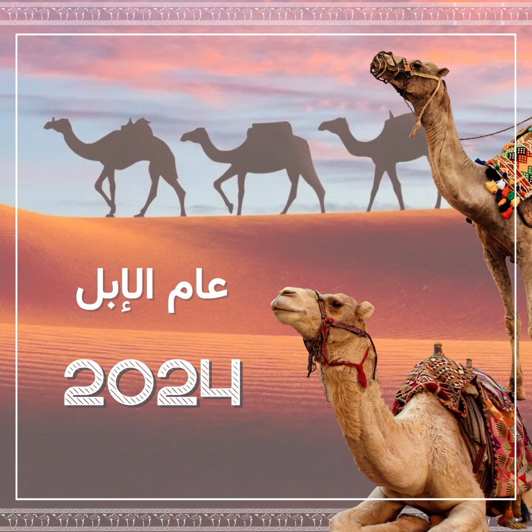 shoug3bdullah's tweet photo. اللهم اجعلها سنه تحقي�� الامنيات والانجازات والرغبات 🩵#2024 #عام_الابل_2024 https://t.co/ISLZol2plJ