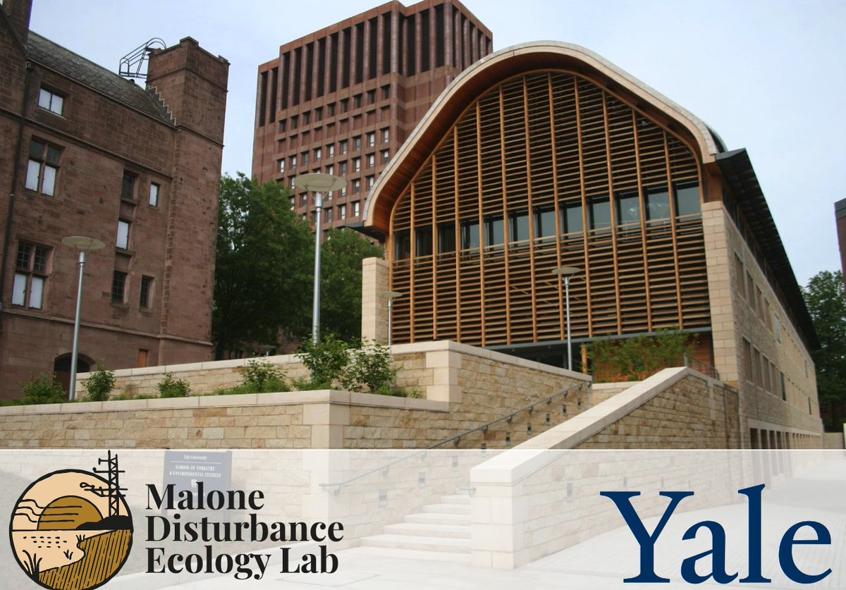 Postdoc Alert for remote sensing experts!  Are you interested in a Postdoctoral Fellowship exploring the capacity of natural ecosystems to capture and sequester carbon with the Malone Disturbance Ecology Lab @YaleEnvironment? Apply by February 28th:forms.gle/hv6C3f3eFZ9Pfp…