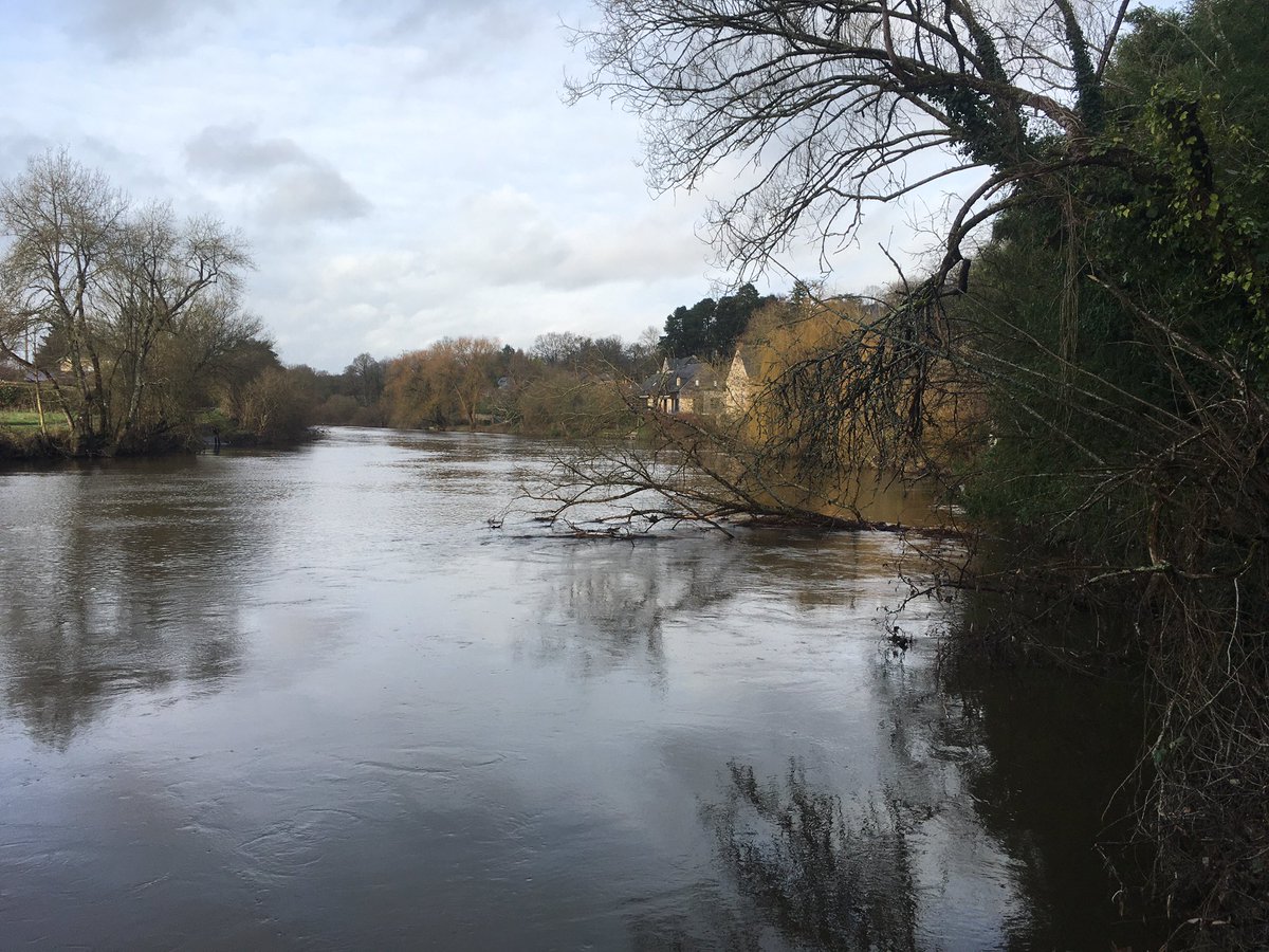 antoinecaplan's tweet image. Quelques pas à #StPierreLePotier pour commencer la nouvelle année d’un bon pied. 

En 2024, continuons à nous battre, là où nous le pouvons, pour une société plus juste, humaine et fraternelle.

Excellente année à toutes et à tous !