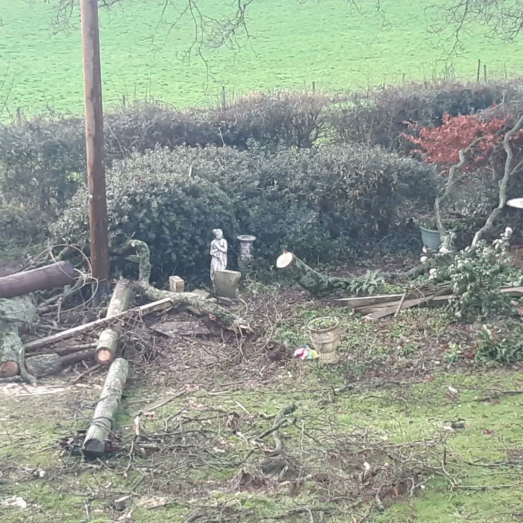 joearlam's tweet photo. Huge thanks to @nationalgrid for rapid response and work in pouring rain Saturday night to restore power after a tree fall took down power cables and @WeAreOpenreach for being out in the rain this NYD and reconnecting our landline. One very thankful dementia carer @DevonCarers https://t.co/jrPKjQEPX1