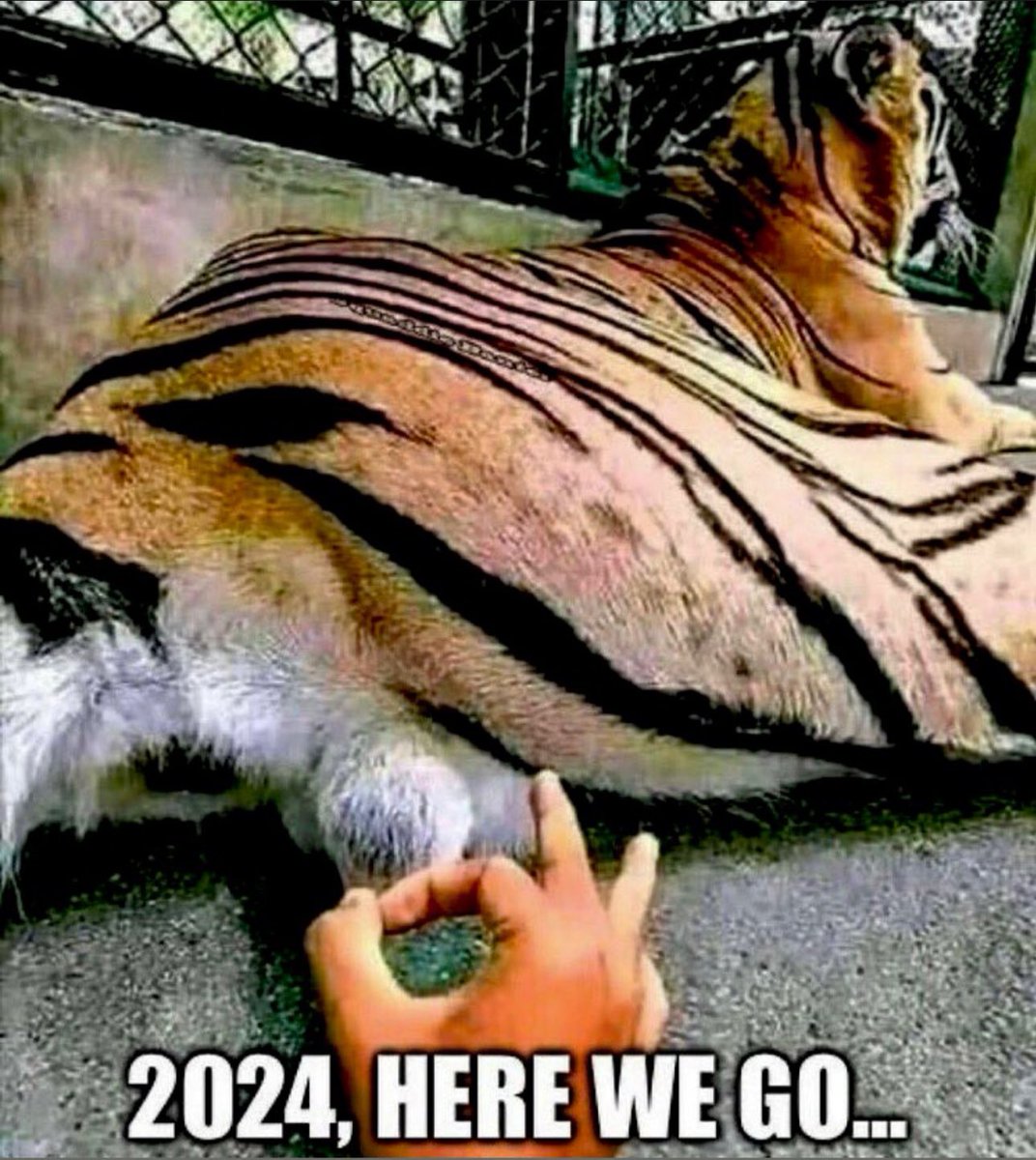 🔴 Live now | Gerard Eady (@theirishgman) on Twitter photo 