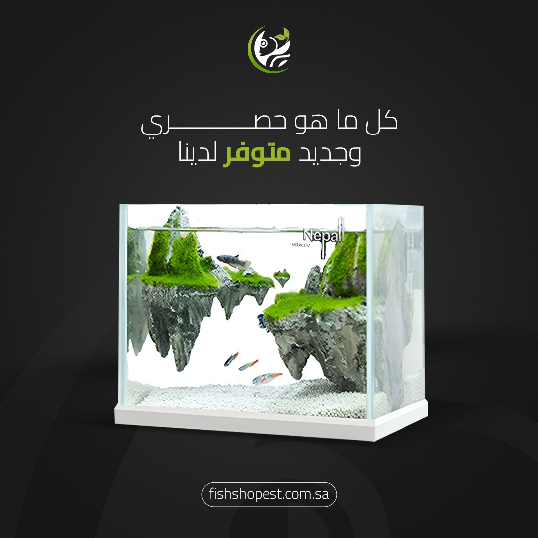 متجر تربية أسماك الزينة tweet media