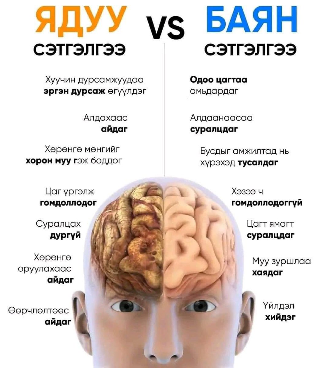 Энэ их хэрэгтэй санагддаг шүү 😇

~ Японы зэн философийн амьдралд хандах 10 гол зарчим:

1. Oubaitori 
Өөрийгөө бусадтай харьцуулах хэрэггүй. Хүн бүр өөр өөрийн зам мөрөөр явж, цаг нь болохоор цэцэглэдэг.

2. Kaizen 
Тасралтгүй өсч дэвш. Жижиг алхамаар том өөрчлөлтөд хүрдэг.

3.