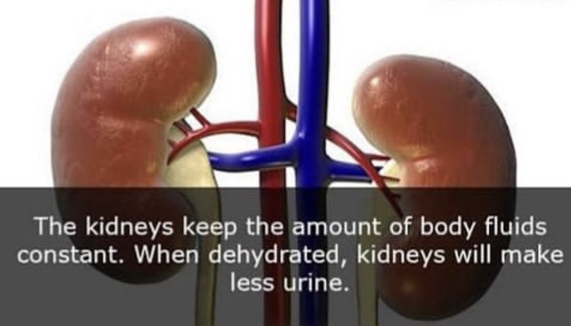 TheTWAAPR's tweet image. Did you know #funfac #DidYouKnow