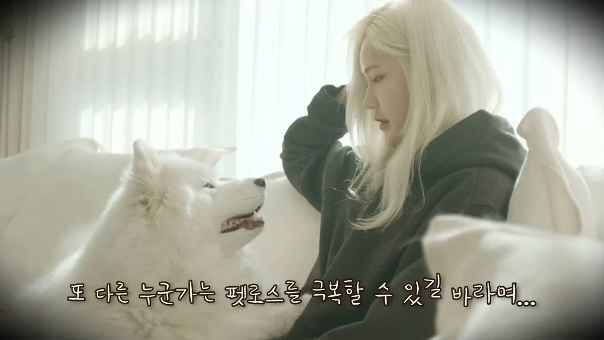 reverse_1oy's tweet image. 내가 뭘본거야? 이기적이고 역겨운 인간..
복제하기 위해 암컷개를 개복한 후 난자채취하고 수정시켜서 다른 암컷개한테 임신 시킨다는데 이 과정에서 10마리 이상의 강아지가 희생되고 버려진데
윤리적으로 문제되는 걸 추천하는게 정상인건가..?
복제된 개의 죽음을 또 받아들일 수 있을까도 문제임