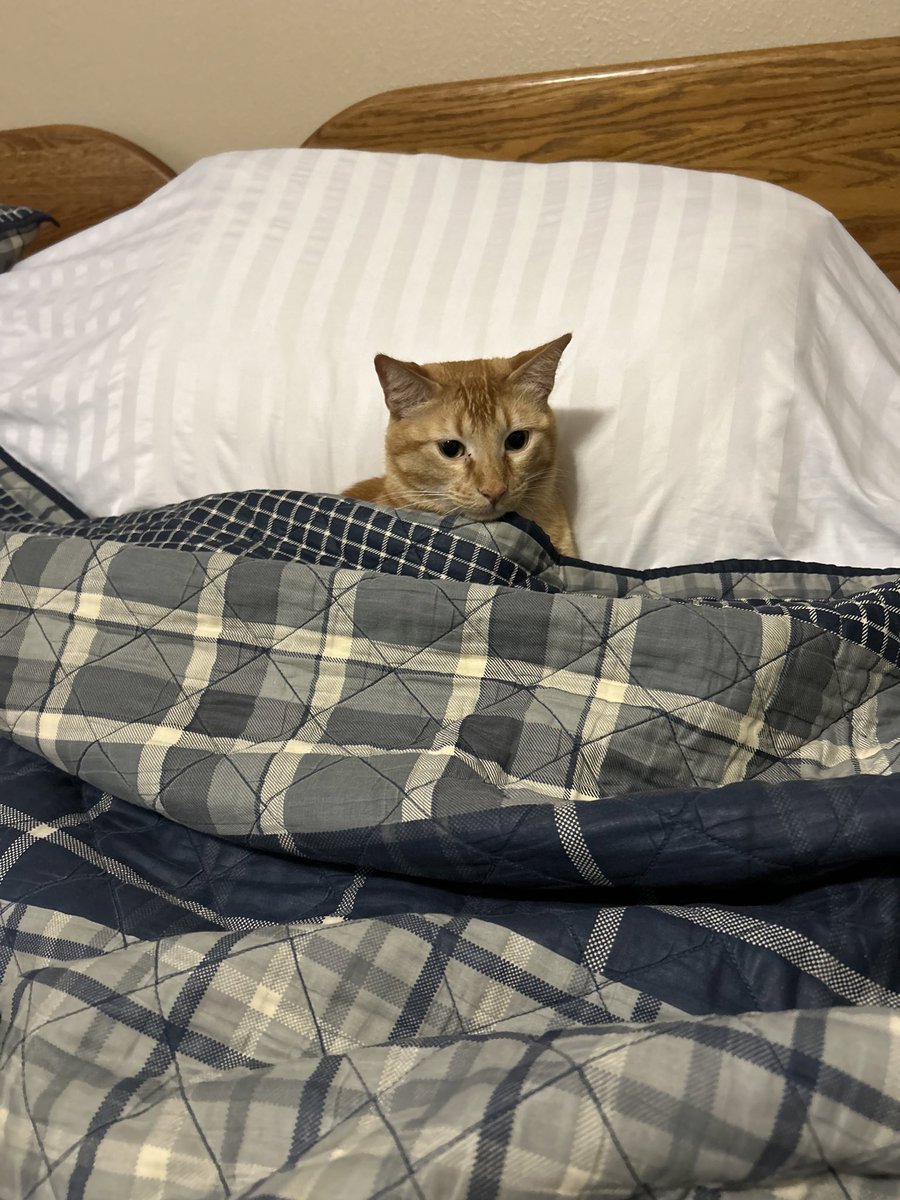 Jake Sacks tweet media