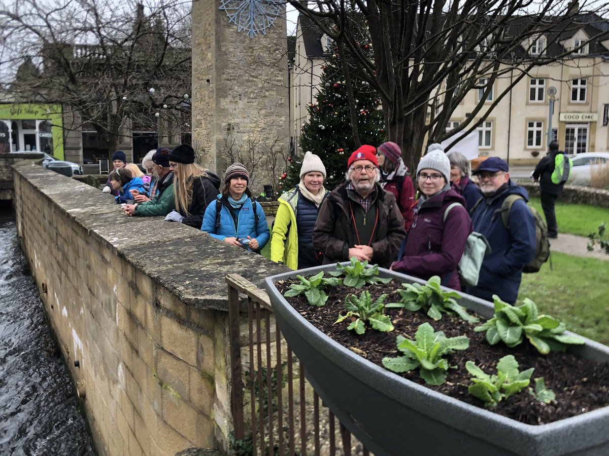 I really enjoyed my first group #NewYearPlantHunt with @GlosNatSoc in Nailsworth today. Collectively we found 42 plants in flower including this barren strawberry and lesser celandine. Many thanks to Clare & Mark Kitchen, @OlgaKry13645825 and all who took part