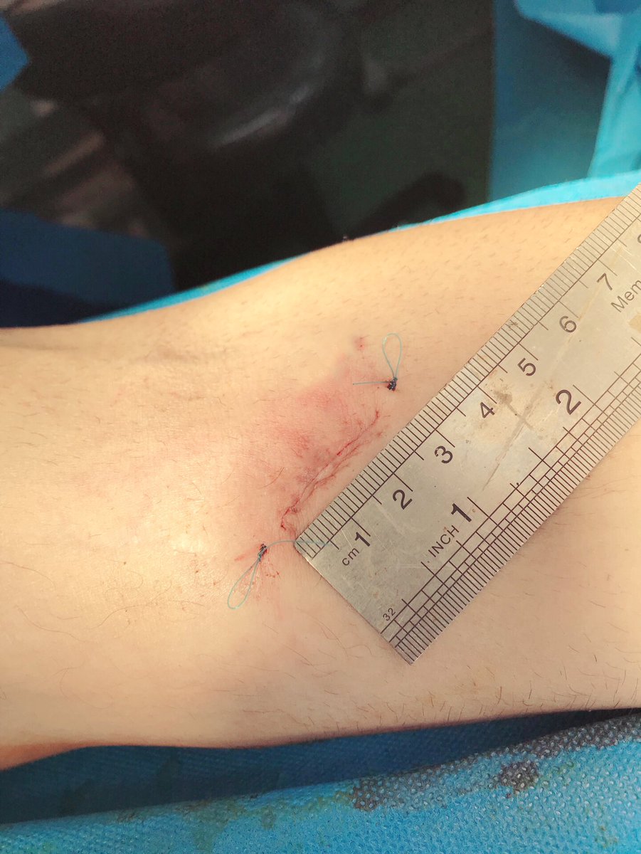 Yousha Pourahmadi tweet media