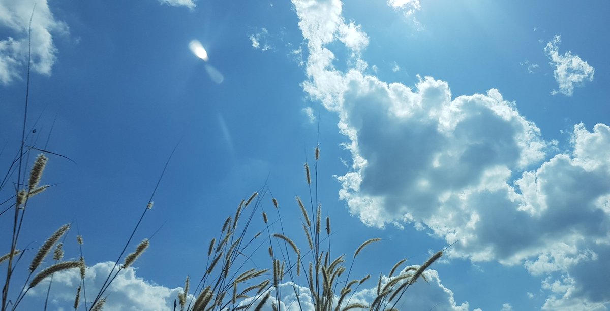 TheMartius25's tweet image. 🏁🏁🏁Start 2024!!!  😎☺️🌻

#1of366 🌞🌝