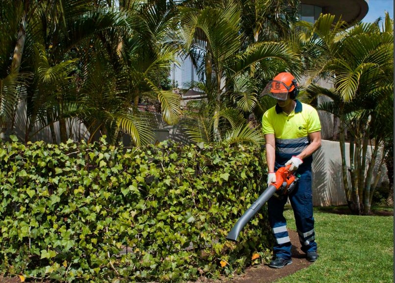 Talher_'s tweet photo. 🌳 Empezamos el año 2024 con renovada energía y nuestro compromiso constante con la ciudadanía y el medio ambiente, asumiendo proyectos que abarcan la sostenibilidad, jardinería, trabajos forestales, educación ambiental y gestión turística y cultural.

#Talher https://t.co/ZUpb007B8o
