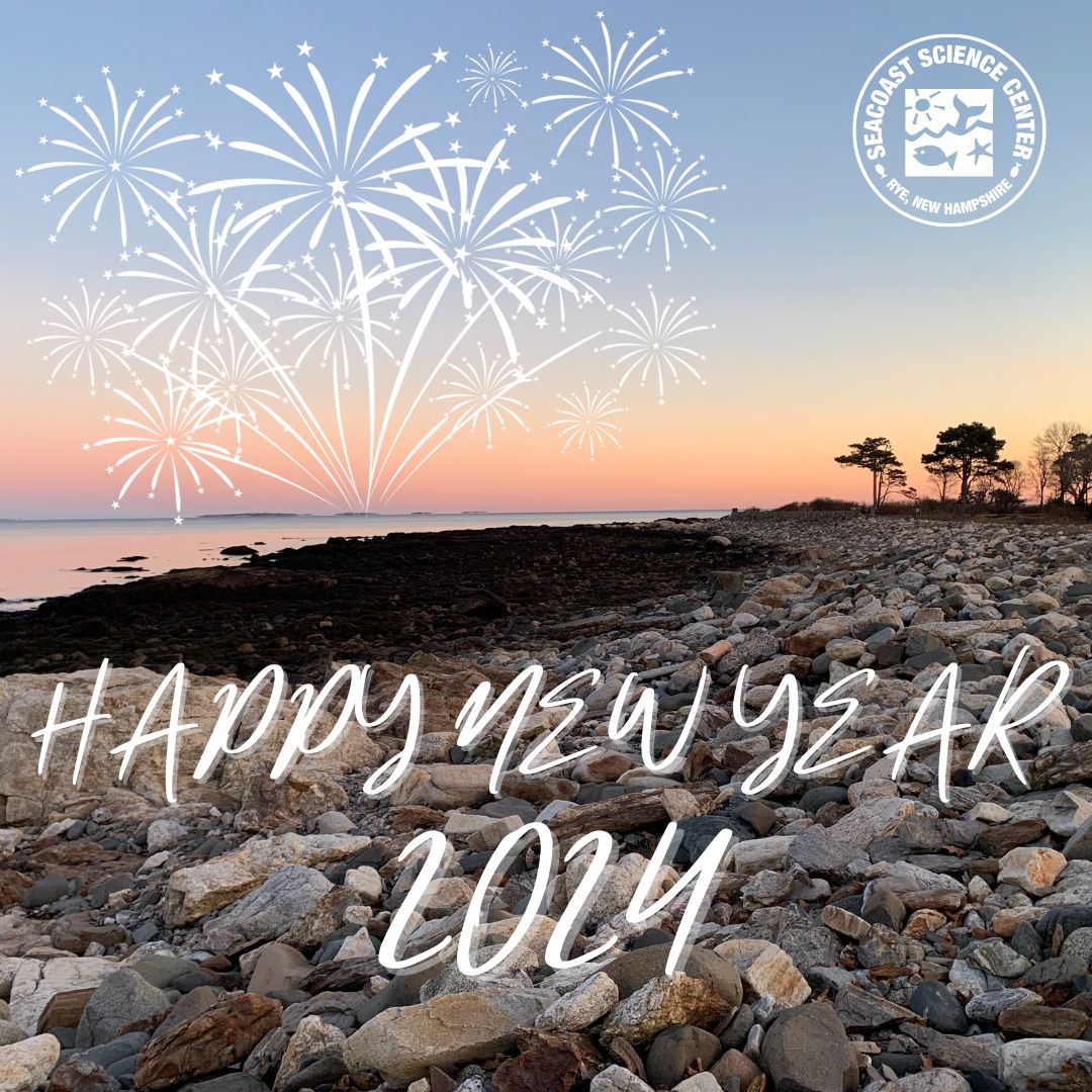 SeacoastSciCtr's tweet image. From our home along the NH seacoast to yours, wishing you a Happy New Year. Here's to health, happiness and time together along our rocky shore in 2024! #nhseacoast #happynewyear2024 #happynewyear