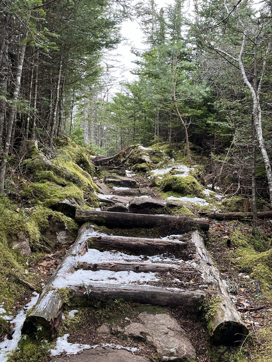 New year, new chapter, new page, new goals, new adventures. Let’s make it a good year filled with courage, confidence, care and creativity. Wishing you love, peace, happiness and much success! 📍 Sugarloaf Path, East Cost Trail, NL #HappyNewYear #NewYear2024 #NewYearVibes