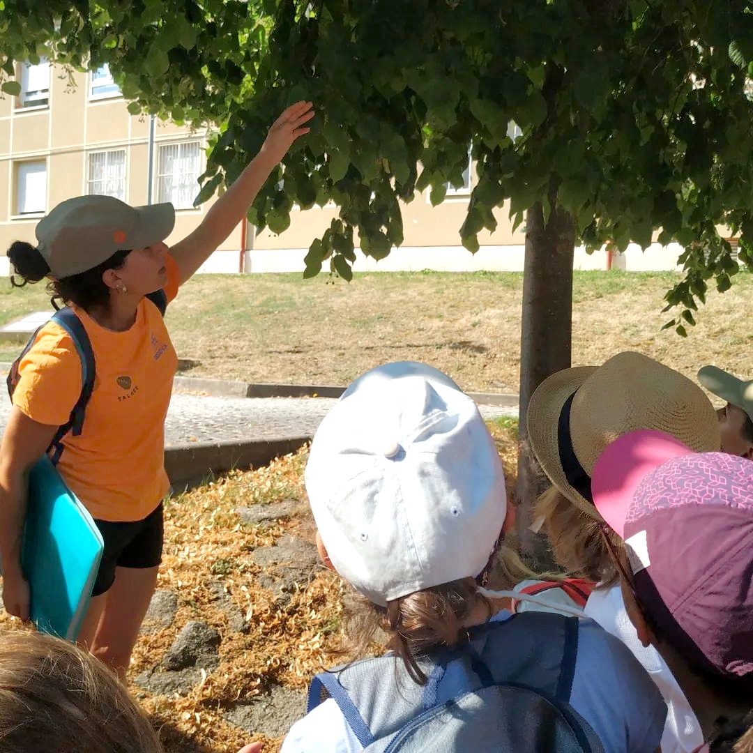 Talher_'s tweet photo. 🌳 Empezamos el año 2024 con renovada energía y nuestro compromiso constante con la ciudadanía y el medio ambiente, asumiendo proyectos que abarcan la sostenibilidad, jardinería, trabajos forestales, educación ambiental y gestión turística y cultural.

#Talher https://t.co/ZUpb007B8o