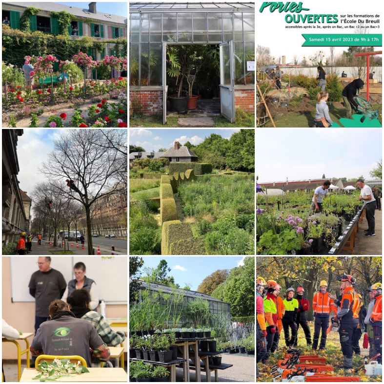 EcoleDuBreuil's tweet photo. Retour sur les photos que vous avez le plus aimées cette année 👍🏼🌱

Nous en profitons pour vous remercier de nous suivre et vous souhaitons une excellente nouvelle année ! 🌟✨

#2023bestnine #2023 #topnine #2023throwback https://t.co/FuQi1vAwU2